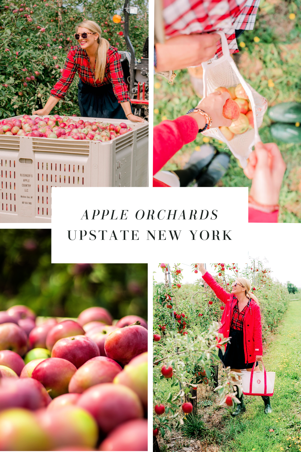 APPLE-ORCHARDS-NEW-YORK-UPSTATE-FINGER-LAKES.png