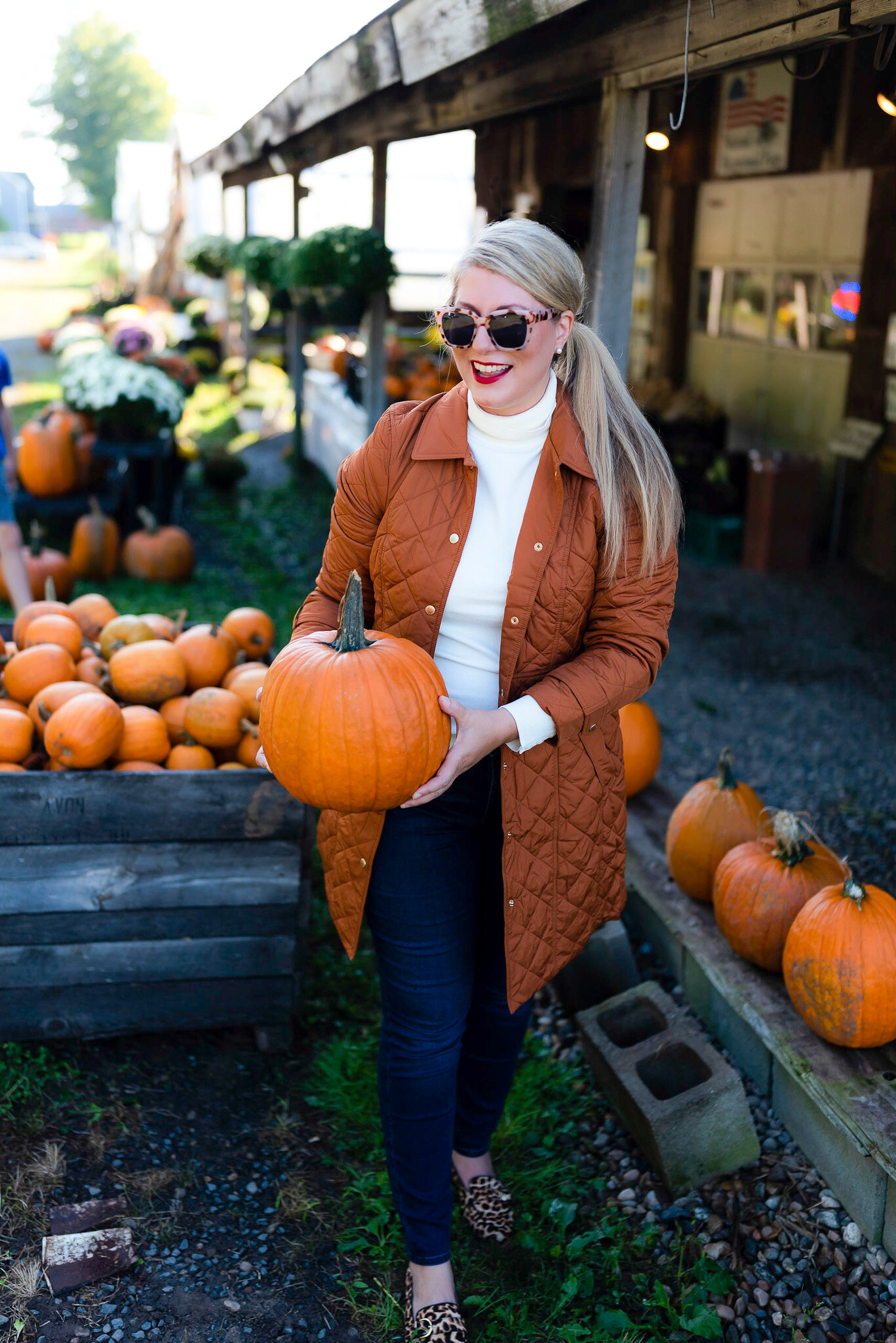 Talbots Fall Favorites for Modern Classic Style
