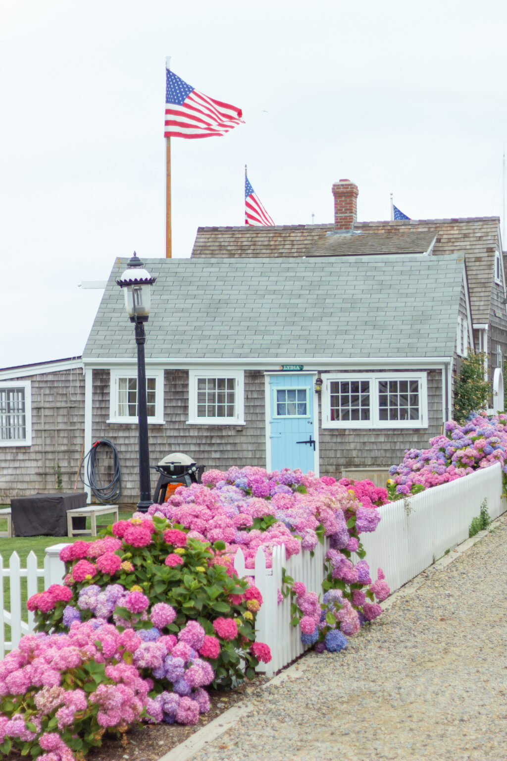 Nantucket in July Photo Gallery | Kristy & New England